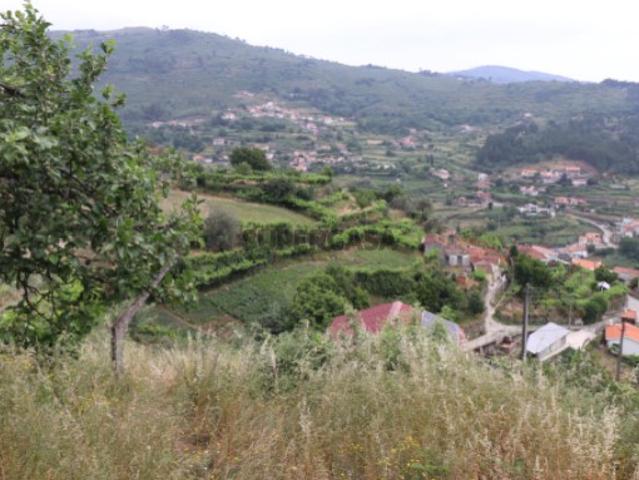 Moradia com Terreno de 2.650 m² Santa Marinha do Zêzere, Baião