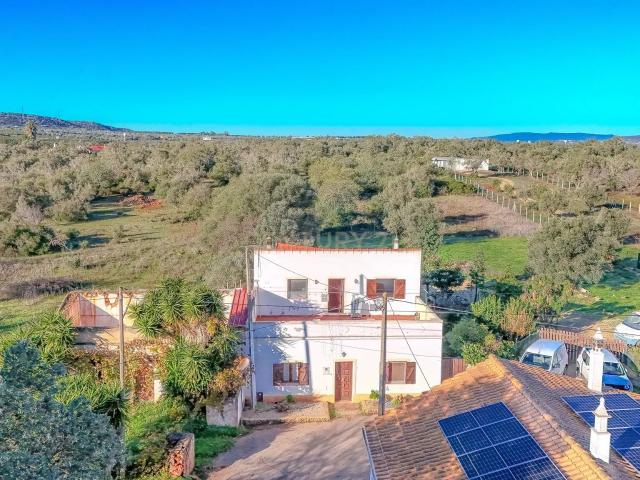 Quinta com Moradia e Terreno de 6.760 m² em Paderne