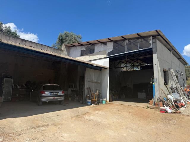 Moradia com Terreno de 9.050 m² | Alcácer do Sal