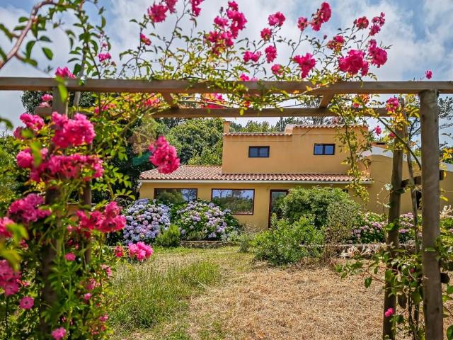 Moradia com Terreno Generoso em Plena Natureza Parque Natu. 149m² Colares