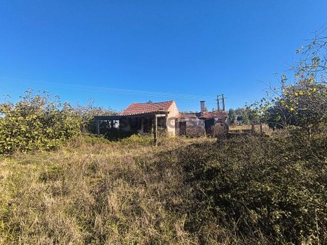 Moradia com terreno 3980 m2 com poço no Entroncamento