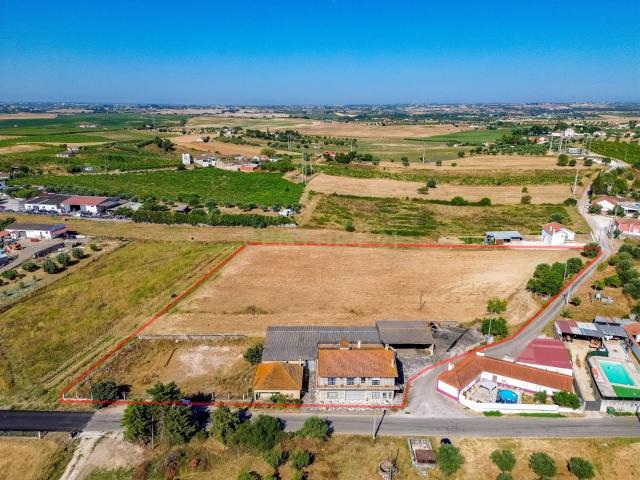 Moradia com Anexos, Armazém e Terreno Agrícola,São Vicente. 172m² São Vicente Do Paul