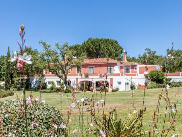 Moradia com casa de hóspedes e 2,5 hectares em Santo Estêvão 520m² São Bento do Cortiço e de Santo Estevão