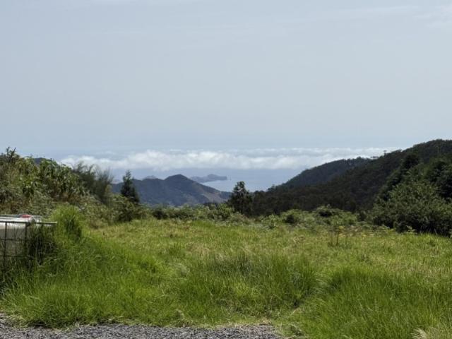 Moradia com jardim Santo da Serra