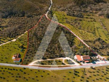 Moradia com Negocio Malaguarda, Freixianda