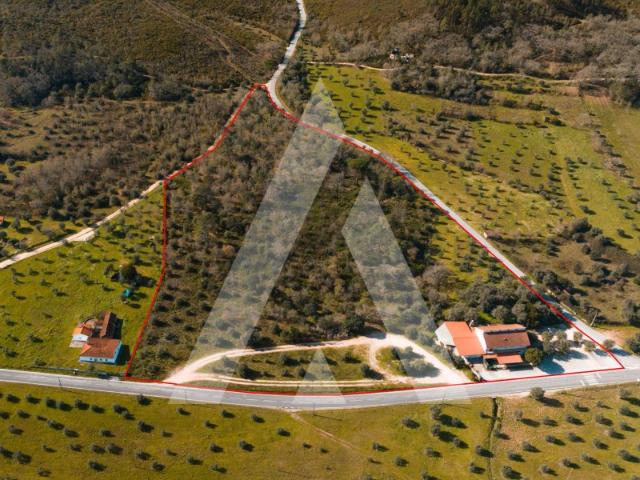 Moradia com Negocio Malaguarda, Freixianda