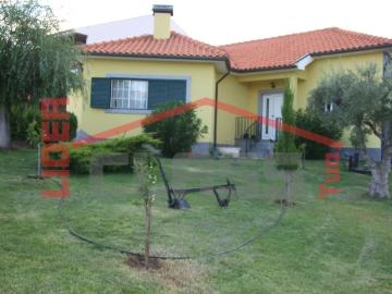 Moradia com piscina Alojamento Local Vila Flor