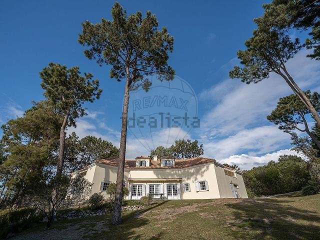 Moradia, Comporta