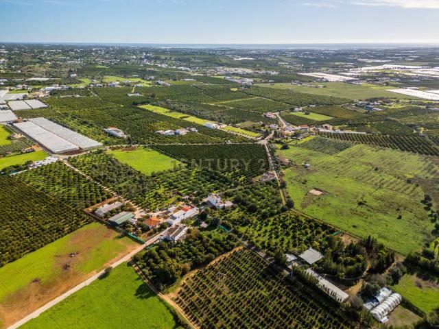 Moradia, Conceição