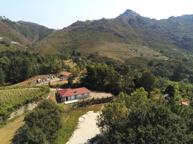Moradia, Covide São Mamede