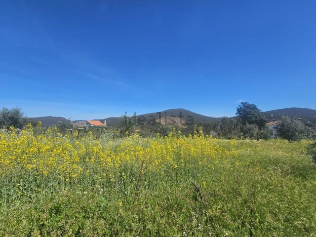 Moradia, Dornes