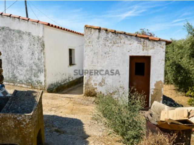 Moradia e ruina na serra de Tavira