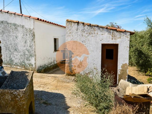 Moradia e ruina na serra de Tavira