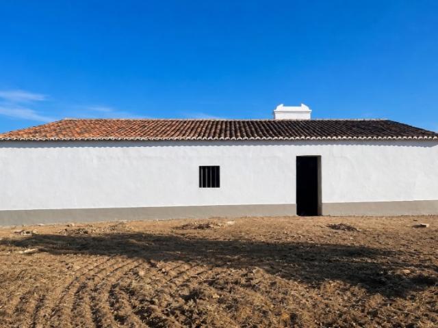 Monte nos Mosqueirões, Grândola: onde o sonho alentejano ganha vida
