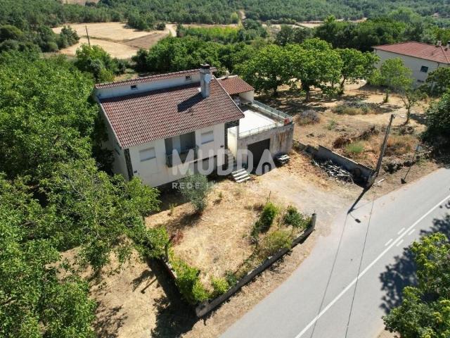 Moradia em Carragosa — Tranquilidade, Tradição e Potencial de Negócio