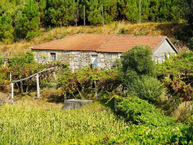 Moradia em pedra para venda, localizada na freguesia de Longos Vales, em Monção