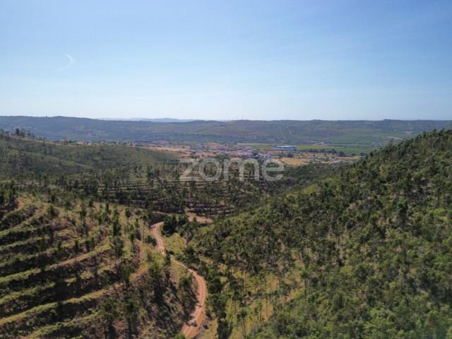 Moradia em Ruina com 86ha de Terreno, em Silves
