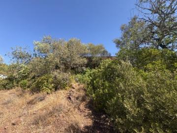 Querença, Querença Tôr e Benafim, Loulé, Distrito de Faro, Algarve
