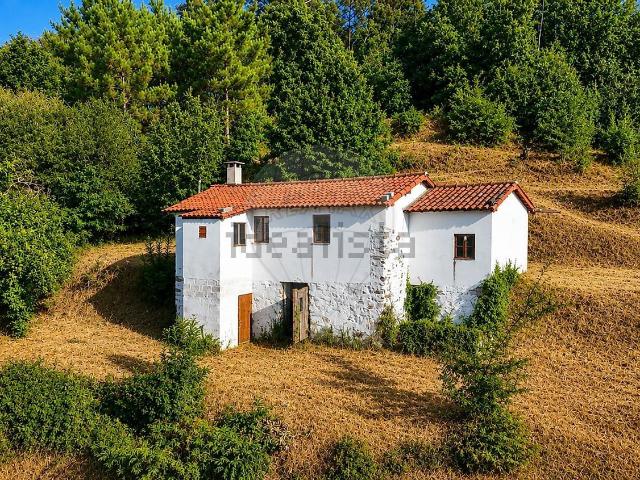 Moradia, Faia