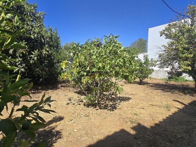Moradia, Ferragudo