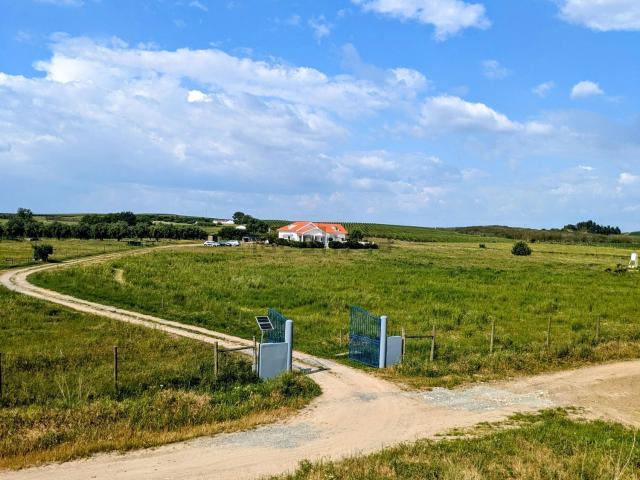 Moradia, Ferreira do Alentejo