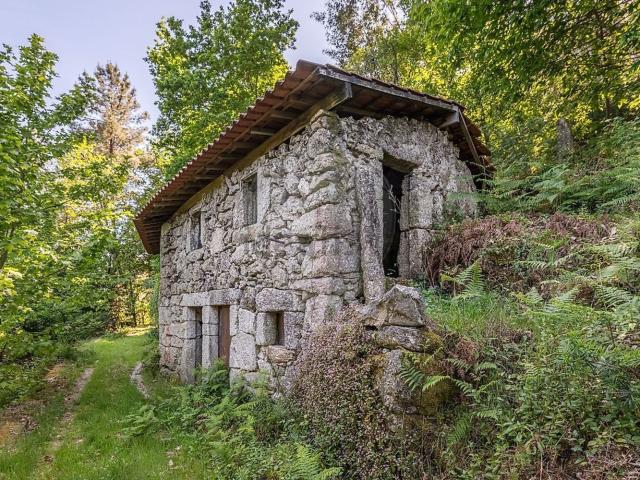 Moradia, Fonte Arcada e Oliveira
