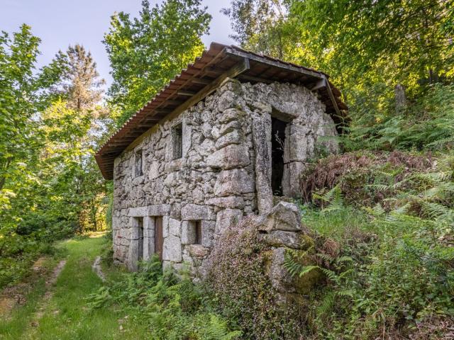 Moradia, Fonte Arcada e Oliveira