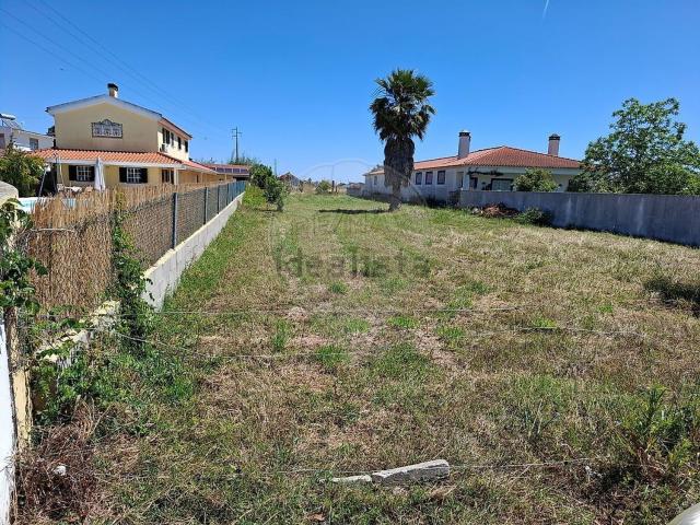 Moradia, Foros de Salvaterra