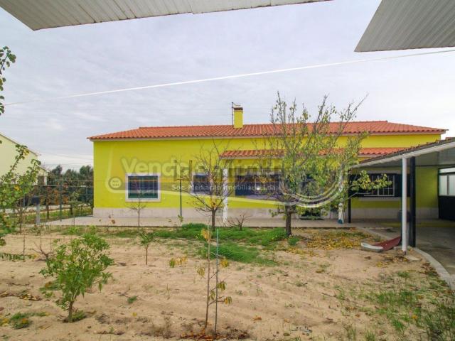Moradia, Foros de Salvaterra