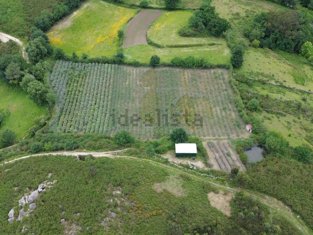 Moradia, Gondoriz