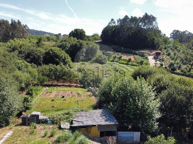 Moradia, Grijó