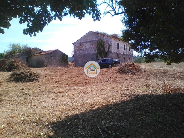 Moradia Histórica em Ruínas com Projeto para Turismo Rural em Telhado, Figueira de Lorvão, Penacova