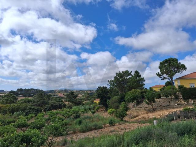 Moradia Independente T4 com Sótão, Garagem para 10 Viaturas e Terreno Rústico no Sobreiro em Mafra