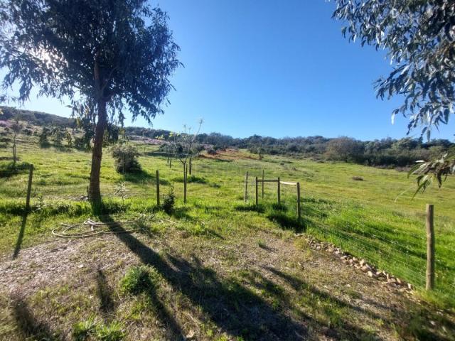 Moradia Independente no Alentejo Oportunidade Única!