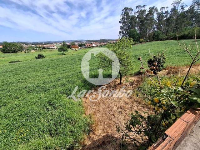 Moradia individual com terreno de 2.753m2 em Rates, Póvoa de Varzim