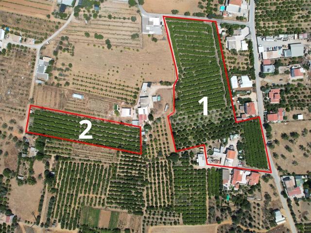 Moradia Isolada, 5 quartos, Faro, Conceição e Esto 200m² Conceição e Estói