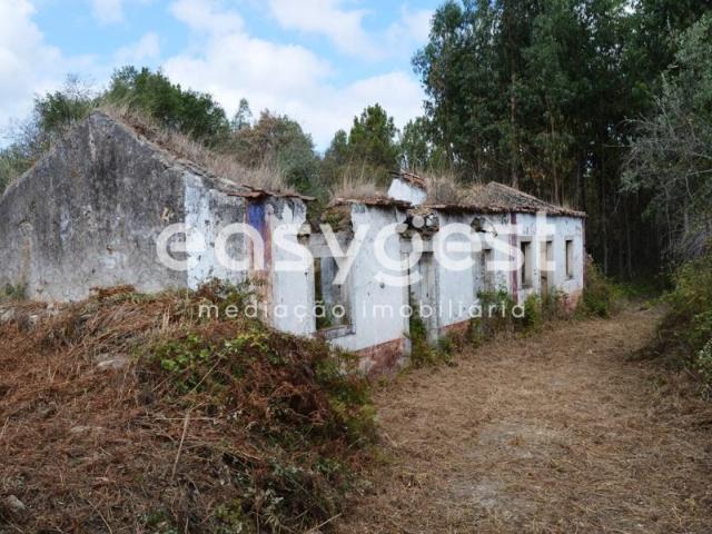Moradia Isolada em ruínas para reconstruir perto de Ferreira do Zêzere