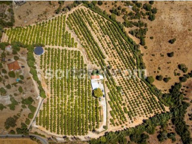 Moradia Isolada T1 Venda em Alcantarilha e Pêra,Silves
