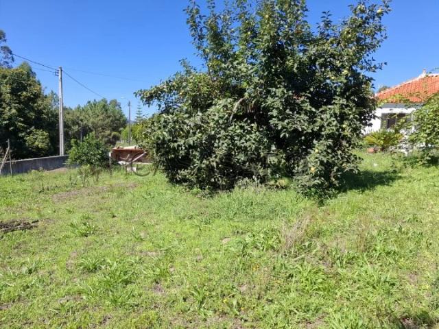 Moradia Isolada T2 para alugar em Barcelos