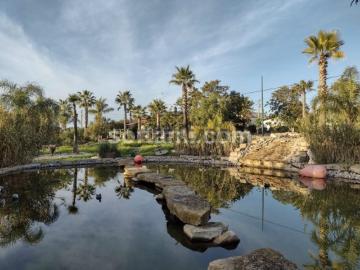 São Miguel do Pinheiro São Pedro de Solis e São Sebastião dos Carros, Concelho de Mértola, Distrito de Beja