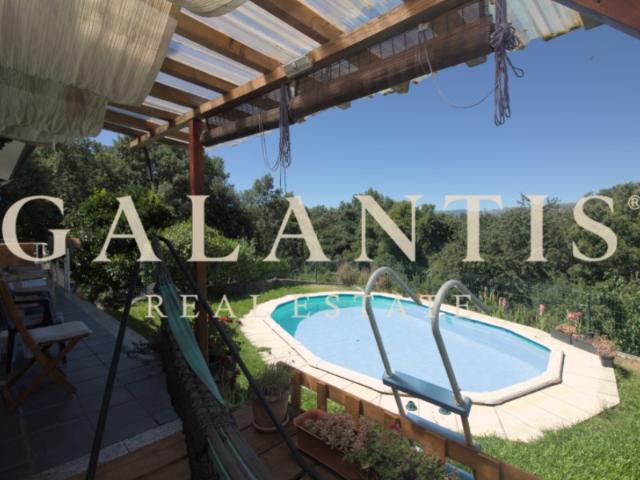 Moradia Isolada V6 com Piscina e Jardim