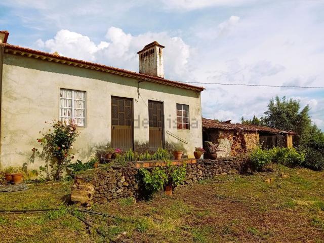 Moradia, Junceira