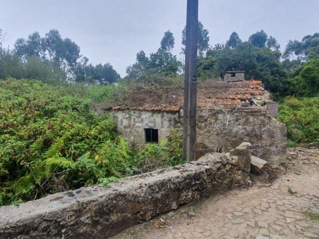 Moradia, Junqueira