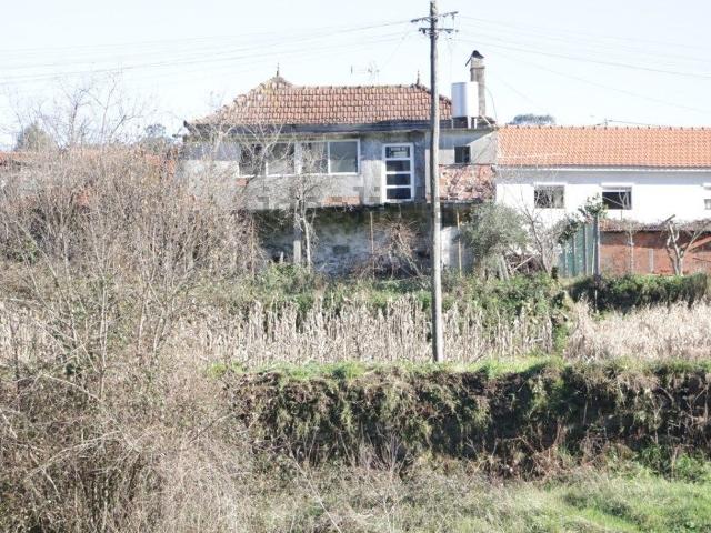 Moradia, Junqueira