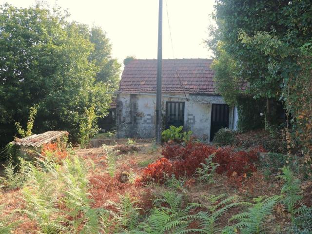 Moradia, Lustosa