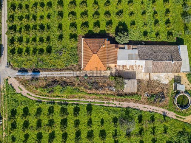 Moradia, Luz de Tavira