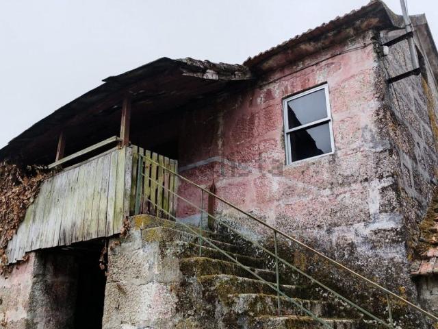Moradia, Lagares e Figueira