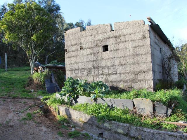 Moradia, Lagares e Figueira