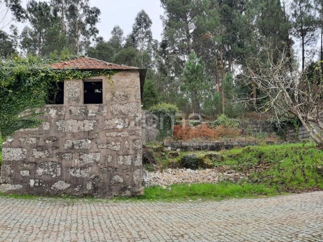 Moradia, Lagares e Figueira