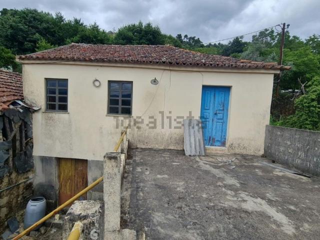 Moradia, Loivos da Ribeira e Tresouras
